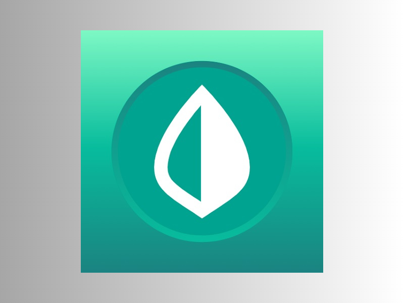 mint logo
